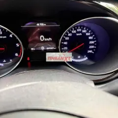Kia Sedona 2019 Dầu 237307 km