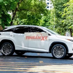 Lexus RX300 2021 SUV Trắng 62.000 km