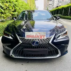 Lexus ES 300h 2020 - 1 Tỷ 880 Triệu