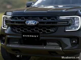 Ford Everest mặt ca lăng
