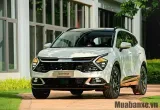 dau-xe-kia-sportage