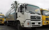 gia-xe-tai-dongfeng-b170-tinbanxe-4.png