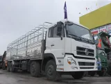 gia-xe-tai-dongfeng-l310-tinbanxe-3.png