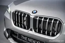 X1