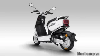 Động cơ Yadea E3