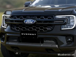 Ford Everest mặt ca lăng