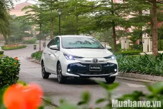 Thiết kế đầu xe Toyota Vios