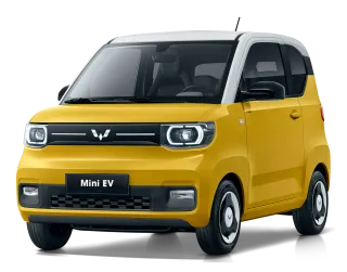 Màu vàng chanh nóc trắng Mini ẺV LV2