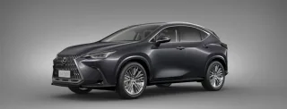 Lexus NX350 màu xám