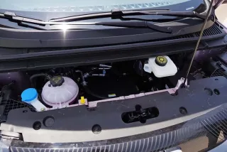 Động cơ BYD Dolphin