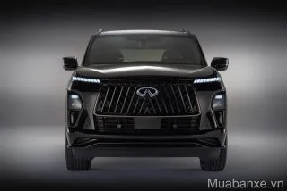 dau-xe-infiniti-qx80-tinbanxe-vn.png