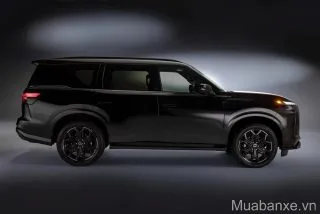 than-xe-infiniti-qx80-tinbanxe-vn.png