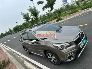 Subaru Forester Eyesight 2020 Nâu Tự động