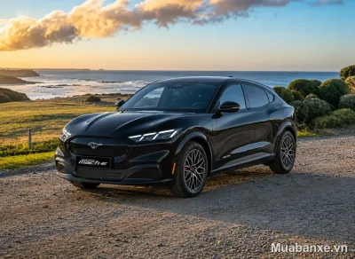 Ford Mustang Mach-E màu đen