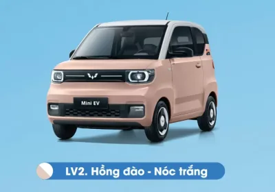Màu hồng đào nóc trắng