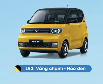Màu vàng chanh nóc đen