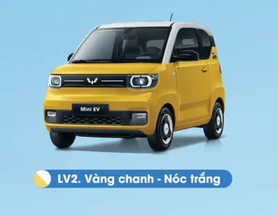 Màu vàng chanh nóc trắng