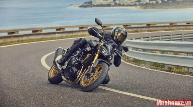 CB1000