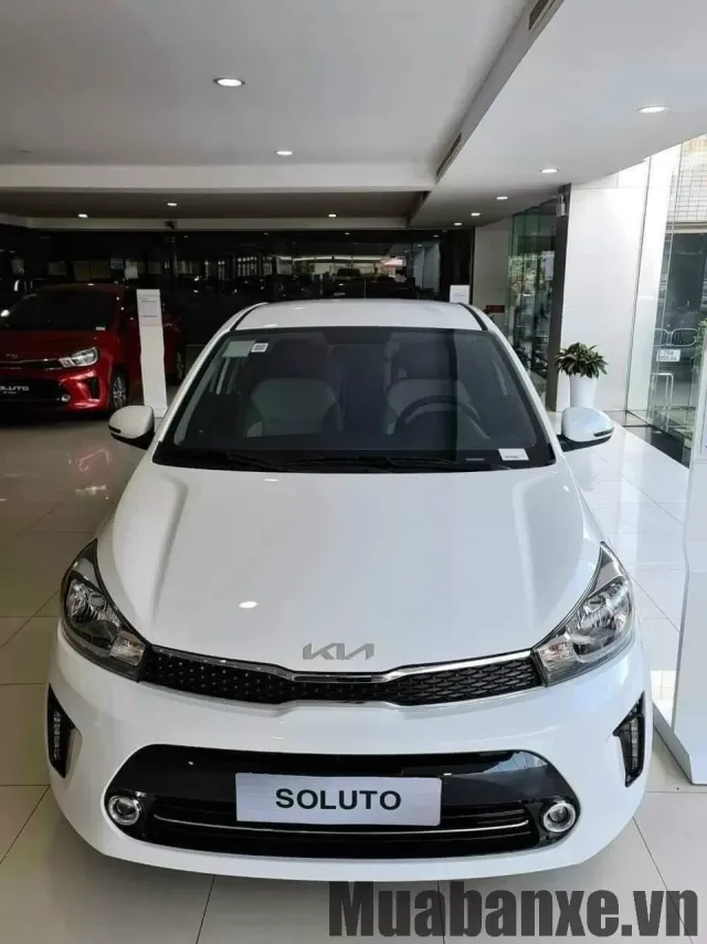 Soluto
