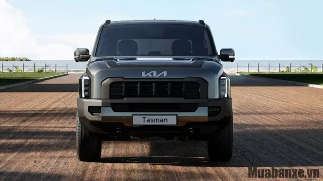 Tasman