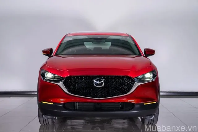 CX-30