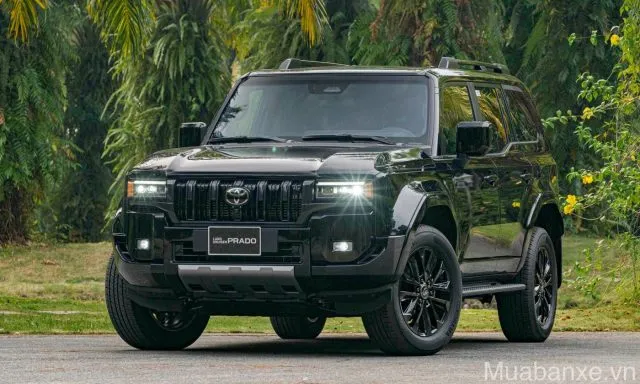 Land Cruiser Prado
