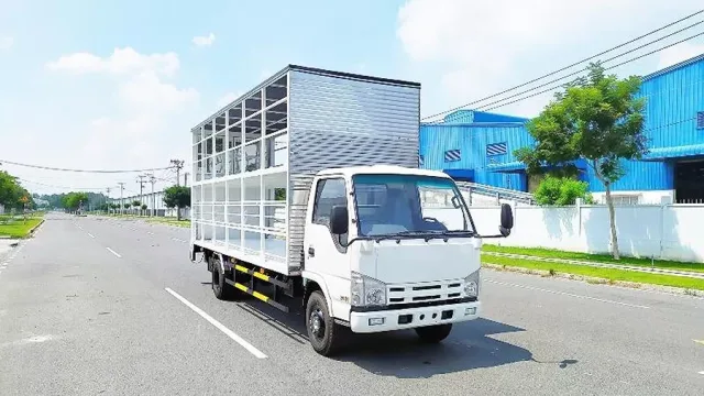 NK550
