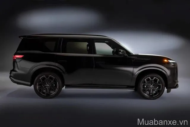than-xe-infiniti-qx80-tinbanxe-vn.png