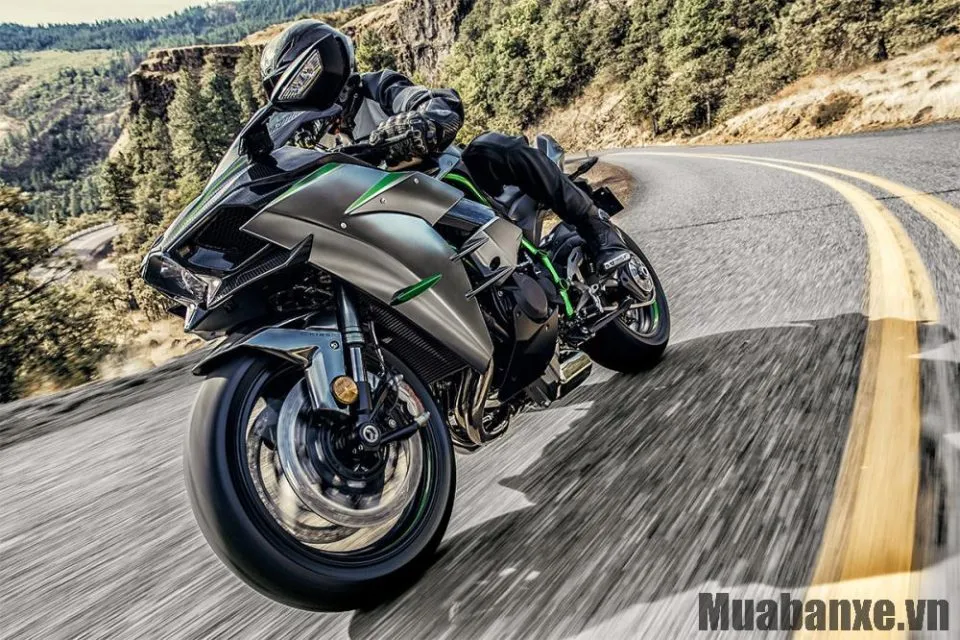 cam giac lai xe kawasaki ninja h2 carbon