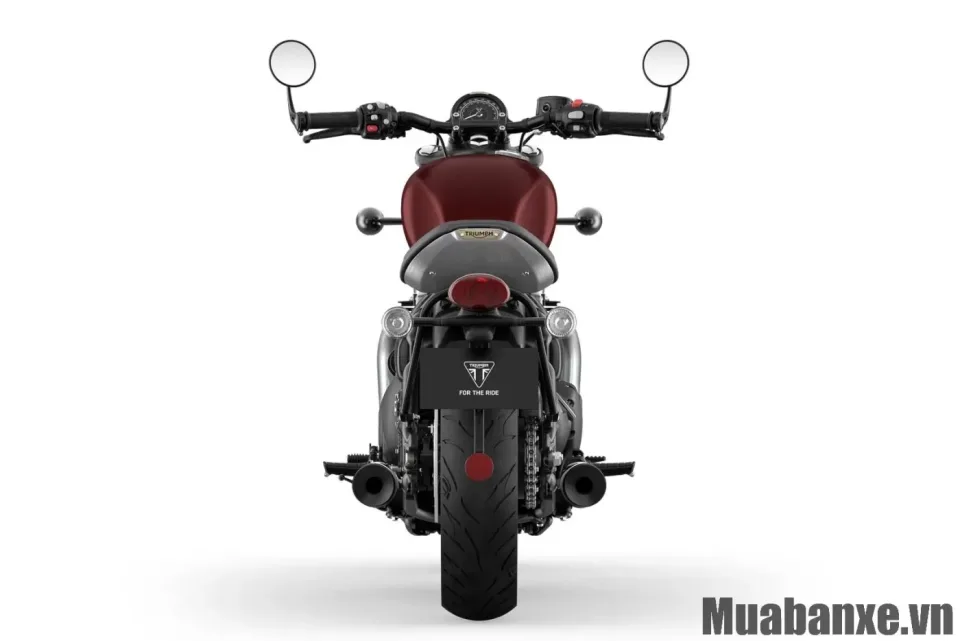 duoi xe triumph bonneville bobber