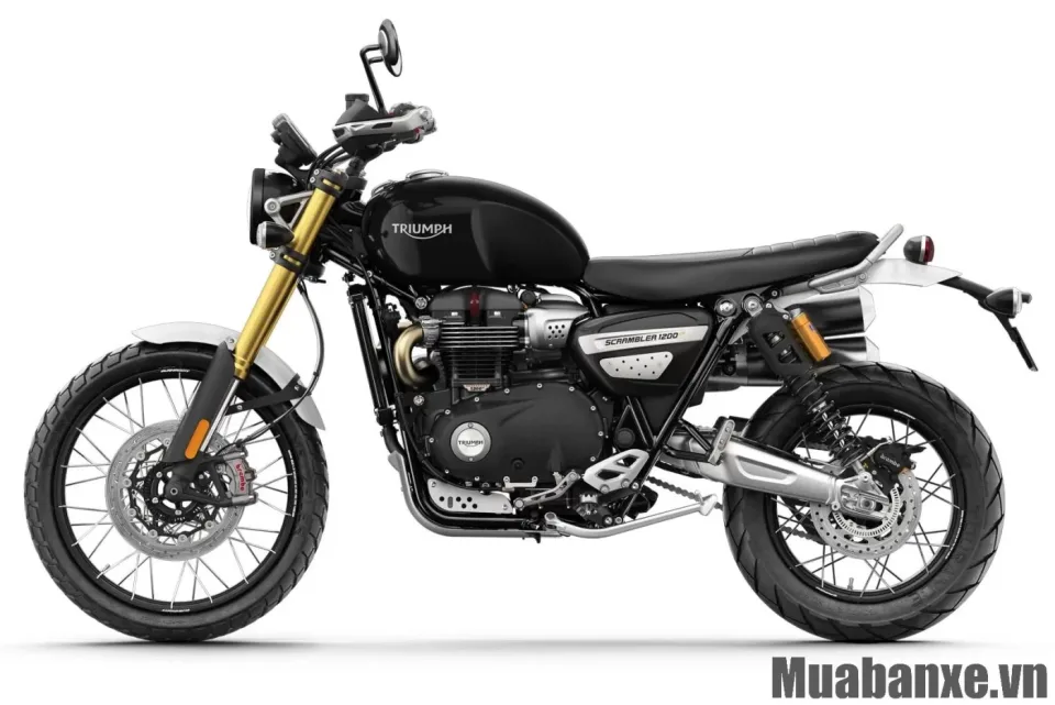 dong co xe triumph scrambler 1200