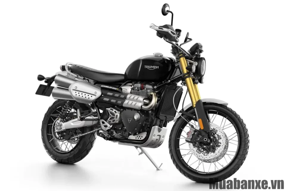 than xe triumph scrambler 1200