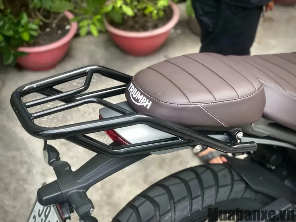 duoi xe triumph scrambler 400 x