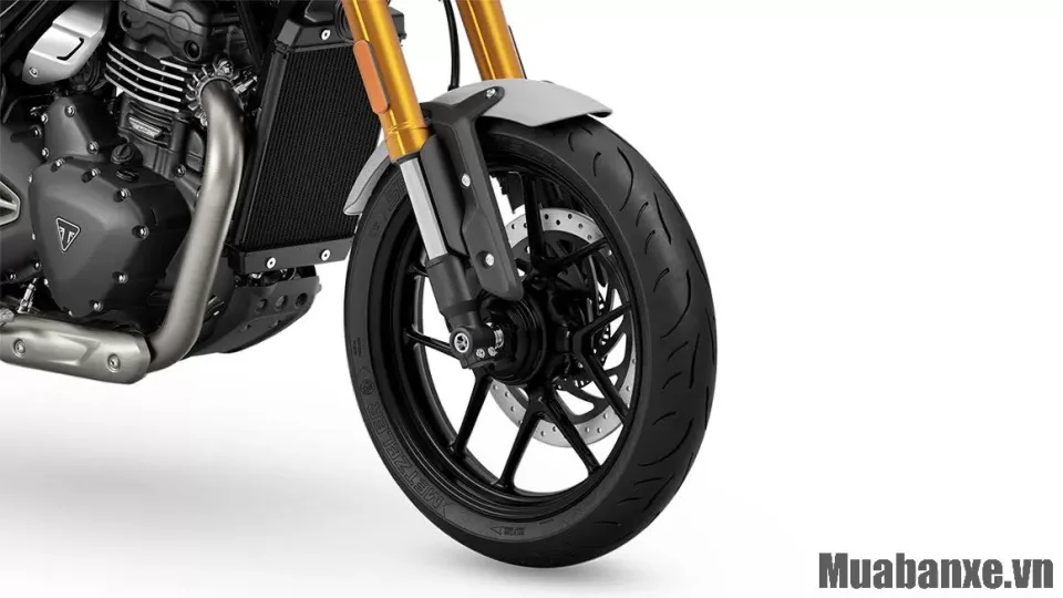 mam va lop xe triumph speed 400