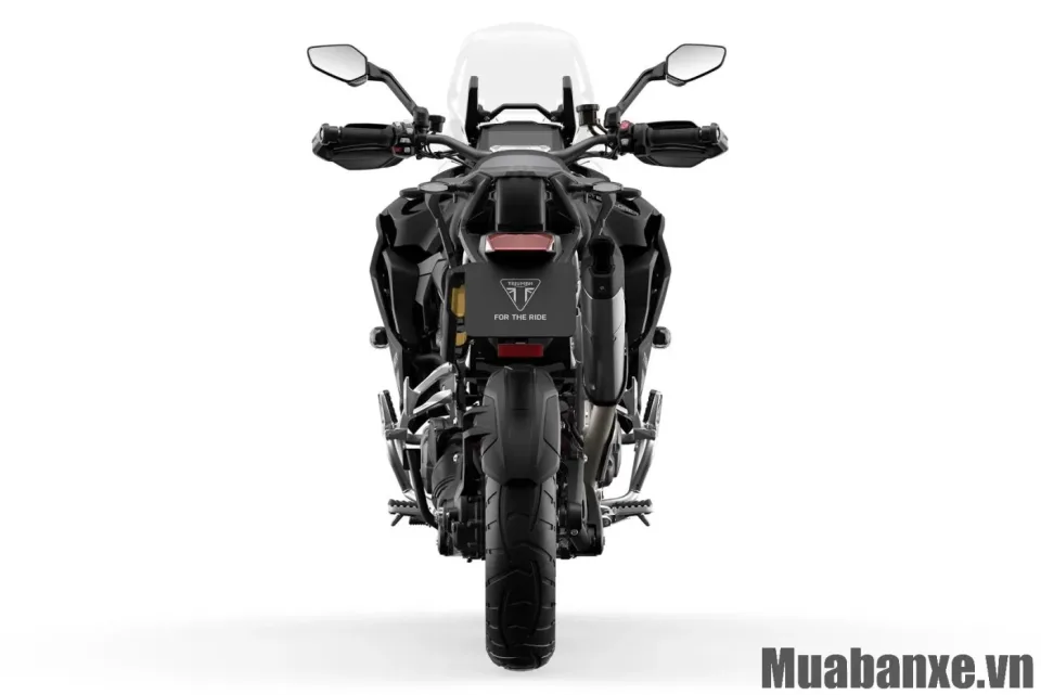 duoi xe triumph tiger 1200