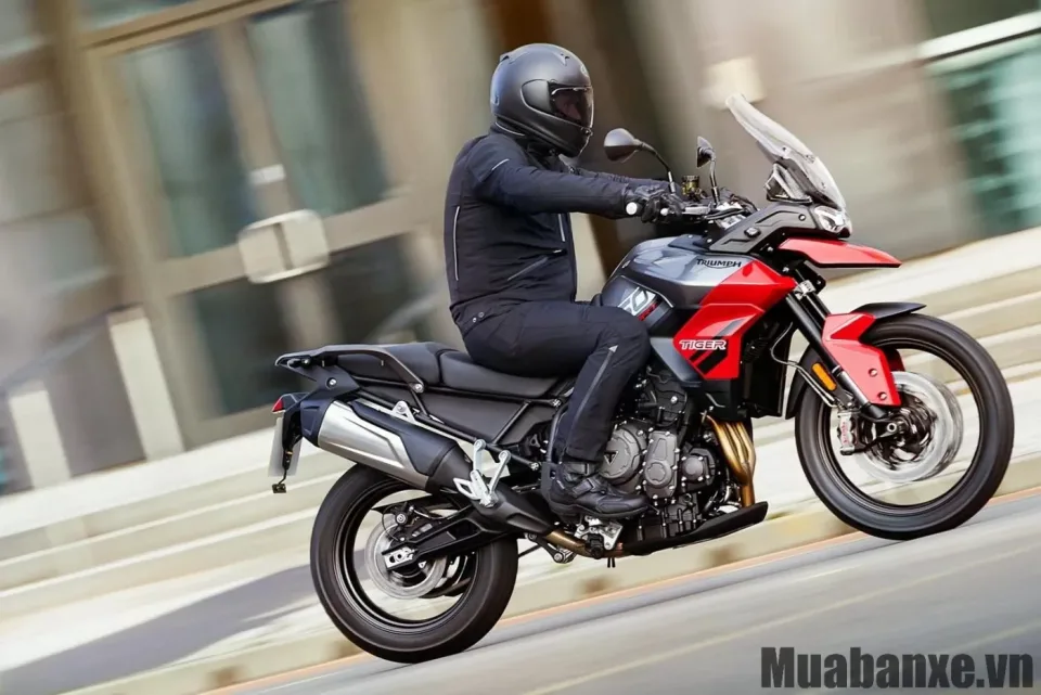 cam giac lai xe triumph tiger 850 sport