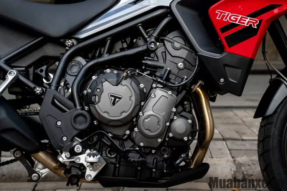 dong co xe triumph tiger 850 sport