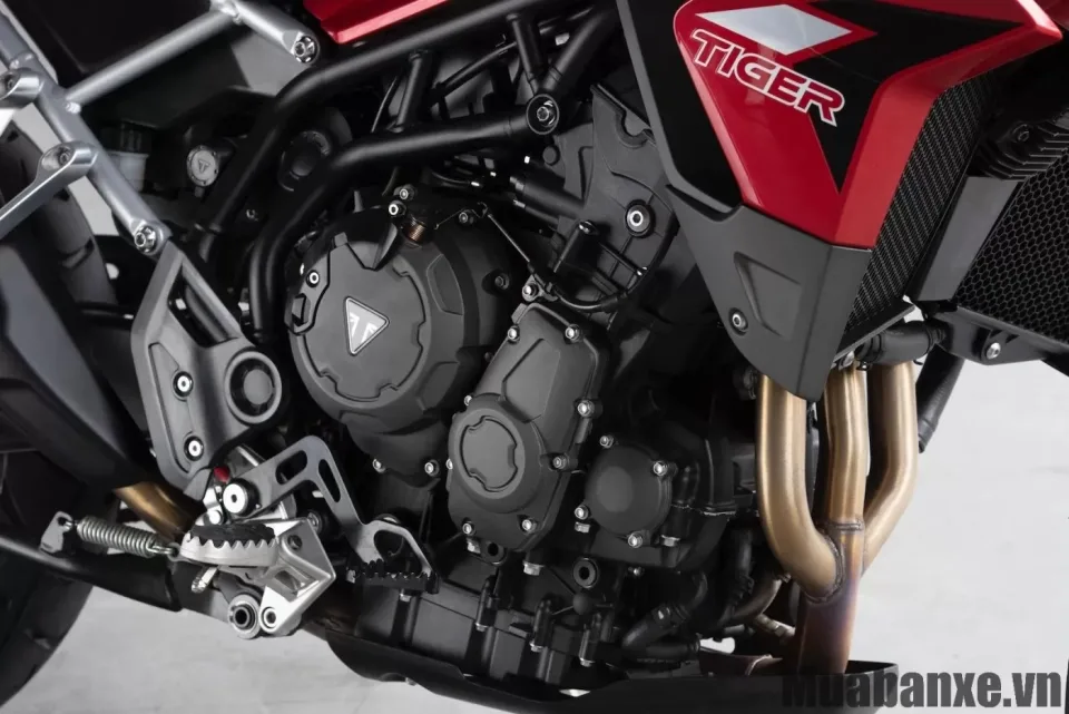 dong co xe triumph tiger 900