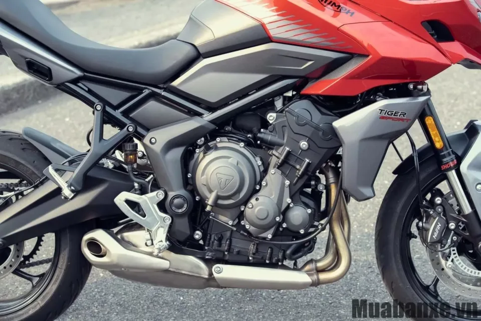 dong co xe triumph tiger sport 660