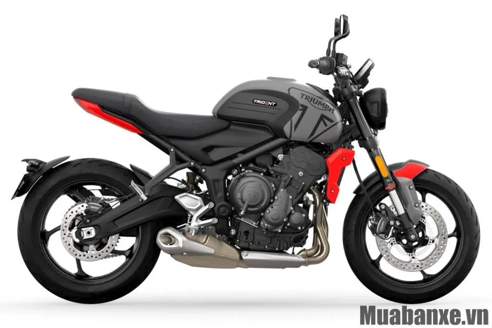 than xe triumph trident 660
