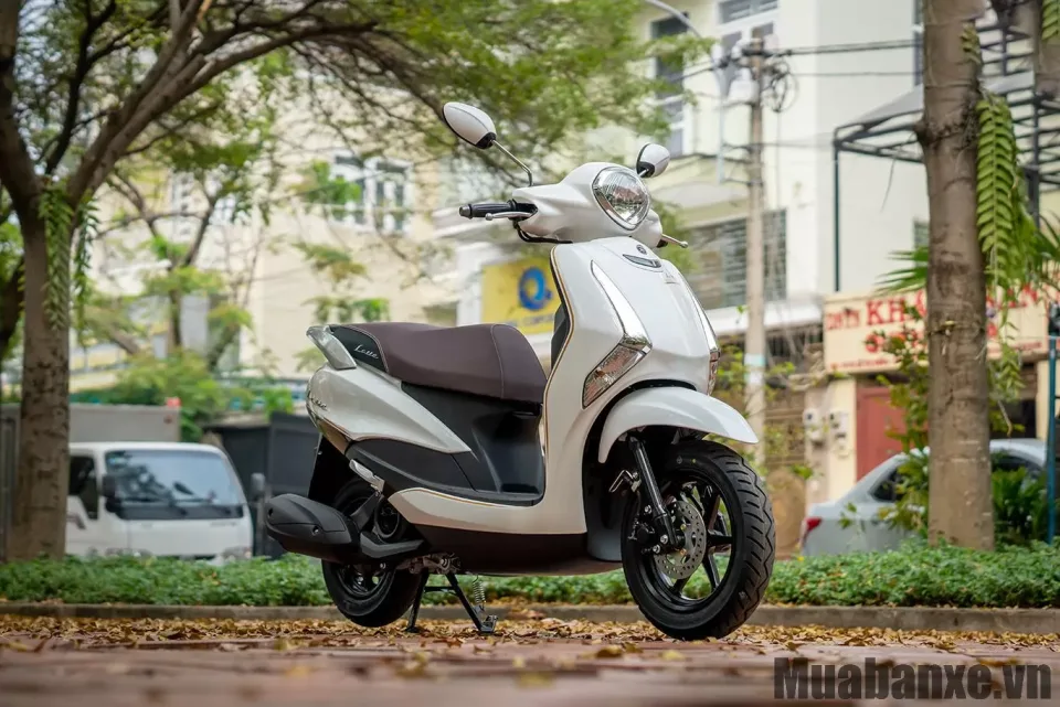 than xe yamaha latte