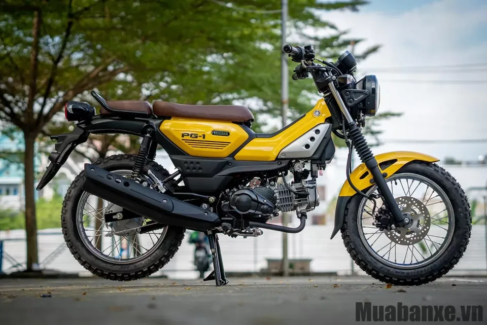 than xe yamaha pg 1