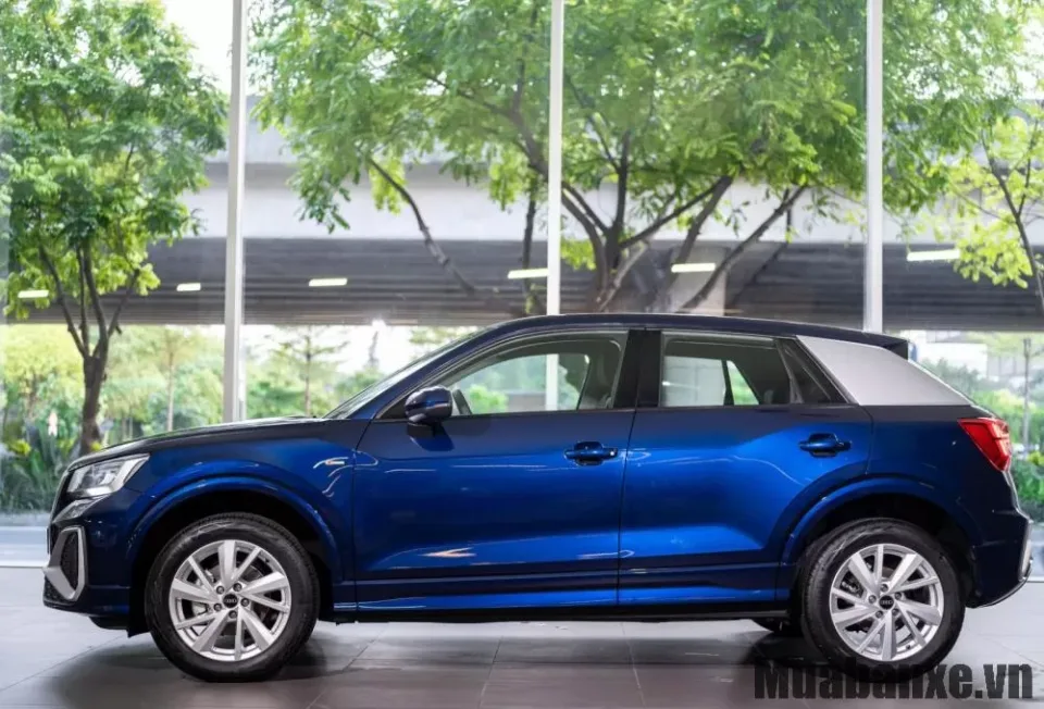 than xe audi q2