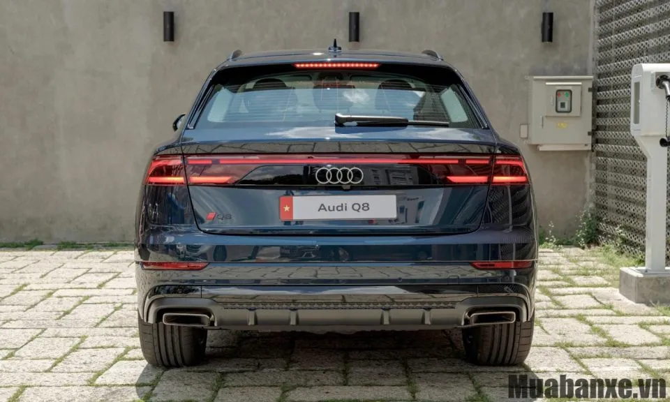 thiet ke duoi xe audi q8