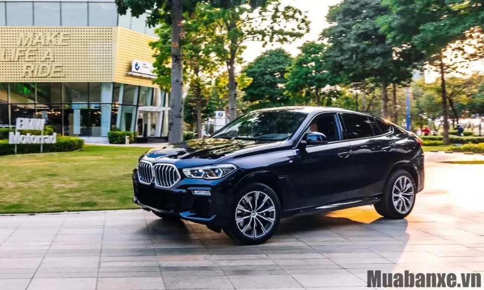 than xe bmw x6