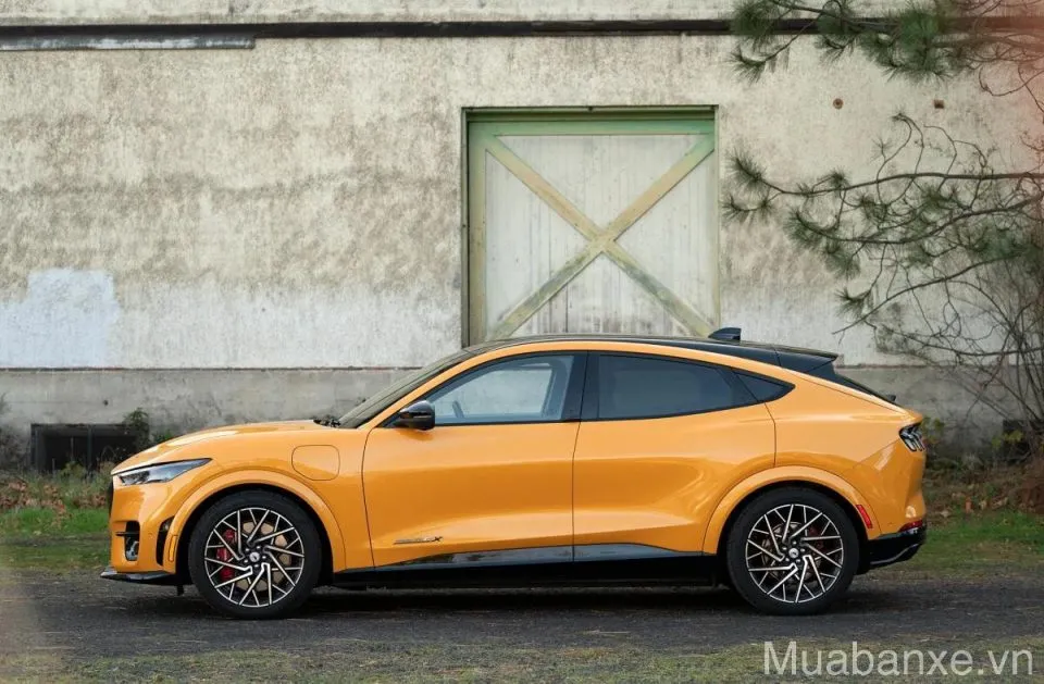 than xe ford mustang tinbanxe vn