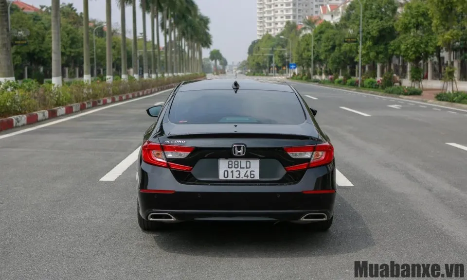 duoi xe honda accord