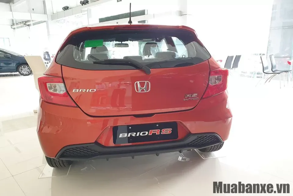 duoi xe honda brio