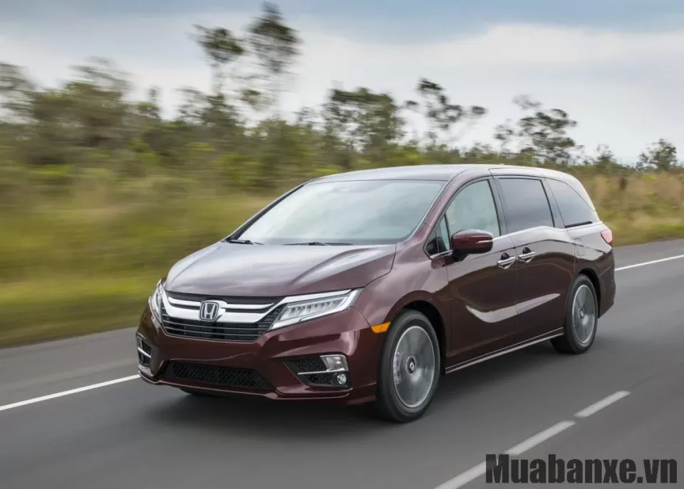 cam giac lai xe honda odyssey