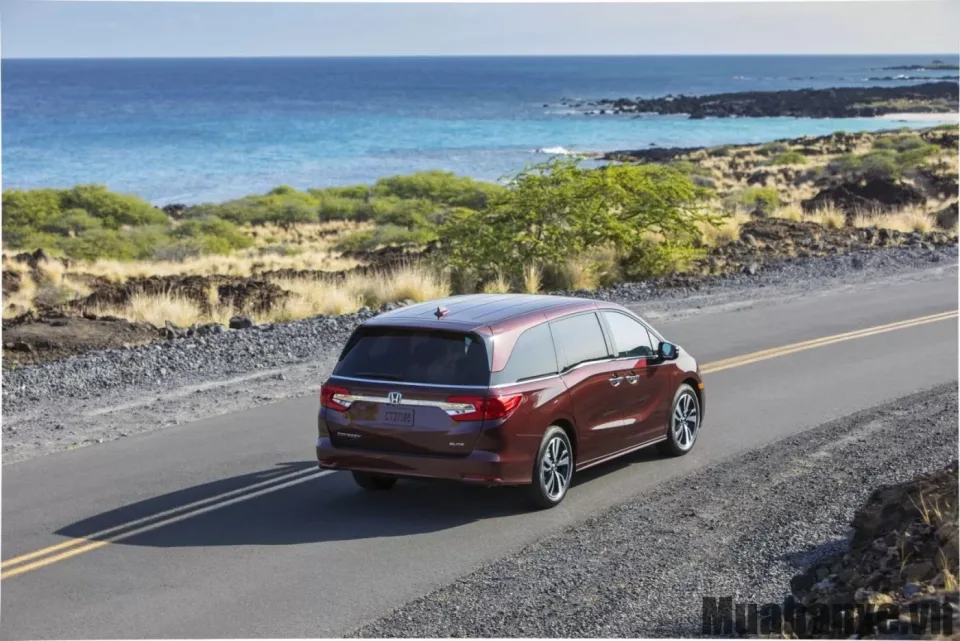 duoi xe honda odyssey
